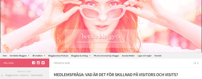 vad är skillnaden mellan visitor och visitors?