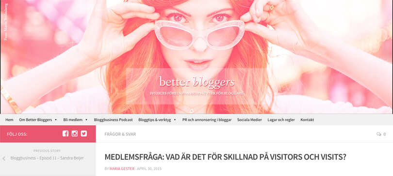 vad är skillnaden mellan visitor och visitors?