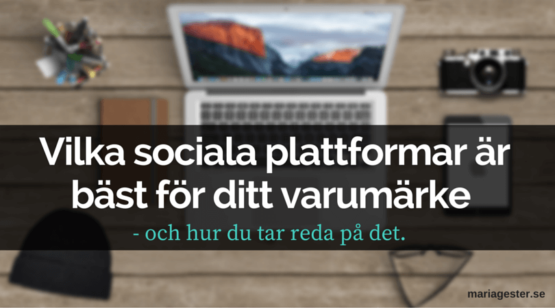 Vilka sociala plattformar är bäst för ditt varumärke